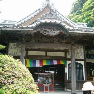 祇園山安養院田代寺