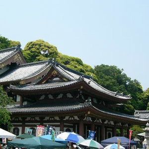 海光山長谷寺</a></strong></span>
<span class=