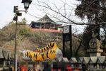 張り子の寅と舞台造りの朝護孫子寺本堂