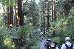 五重塔に向かう参道