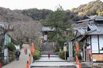 豊山神楽院長谷寺