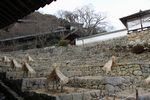 長谷寺の登廊から月輪院