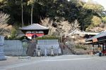 長谷寺の境内と愛染堂