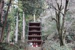 室生寺の五重塔